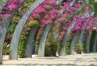 Timboongazebos-pergolas-and-shade-structures-9.jpg; ?>